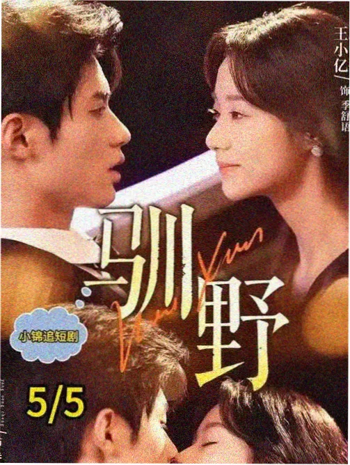 雾港列车漫画封面